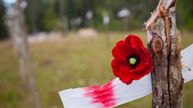Poppy Kokoda