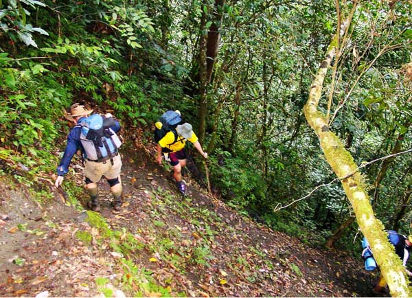 walk-downhill-kokoda-track – Kokoda Trail Treks